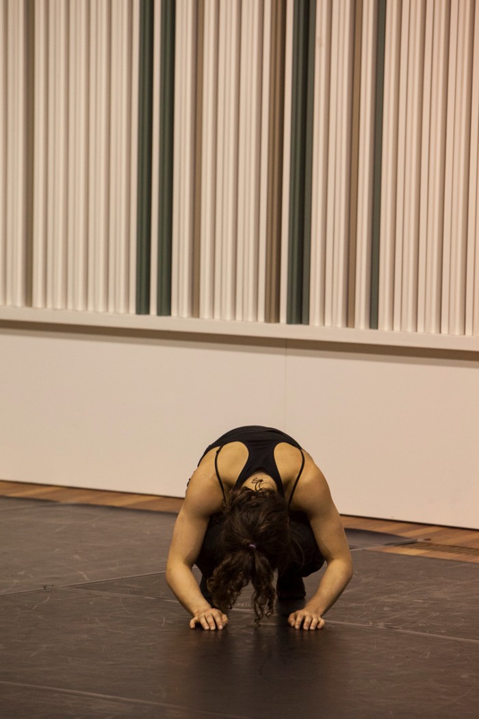 Dansworkshop_ECDF_in_Badhuis-9820.jpg